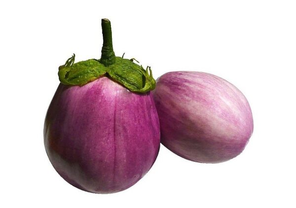 Melanzane