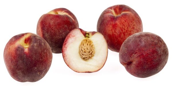 Pesche